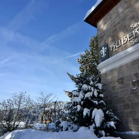 Seehotel Hubertus Отель
