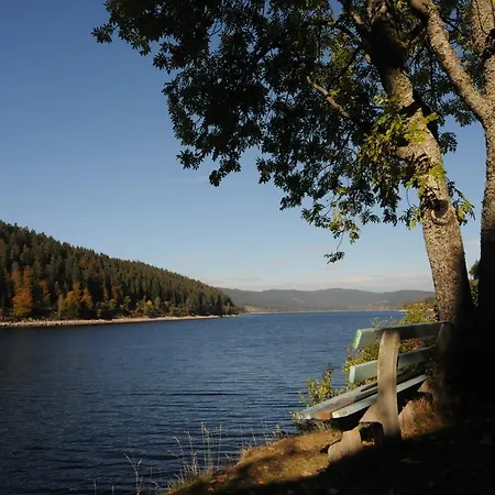 Seehotel Hubertus 4* Schluchsee