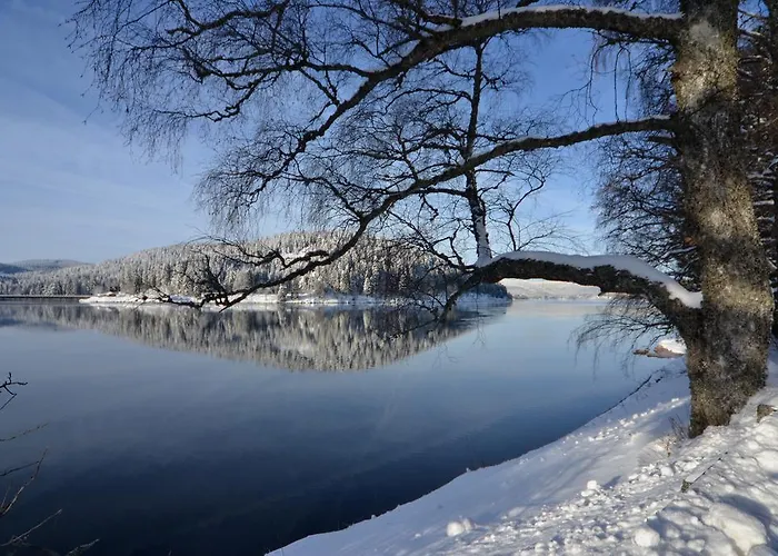 Seehotel Hubertus 4*