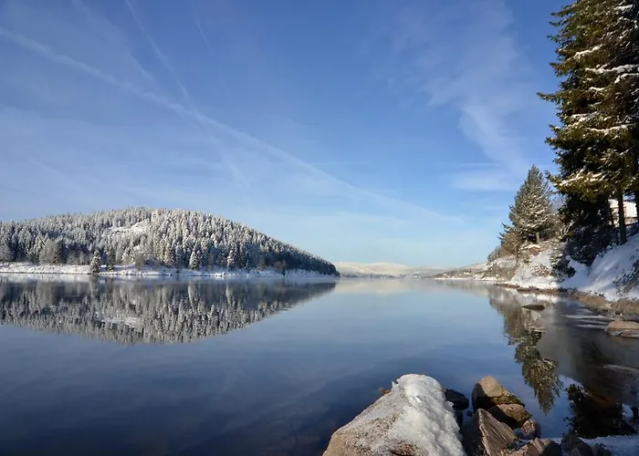 Hotel Seehotel Hubertus 4*