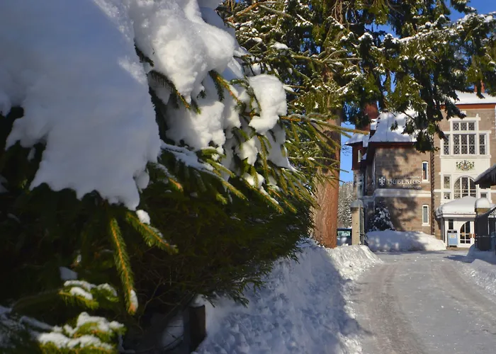 Hotel Seehotel Hubertus