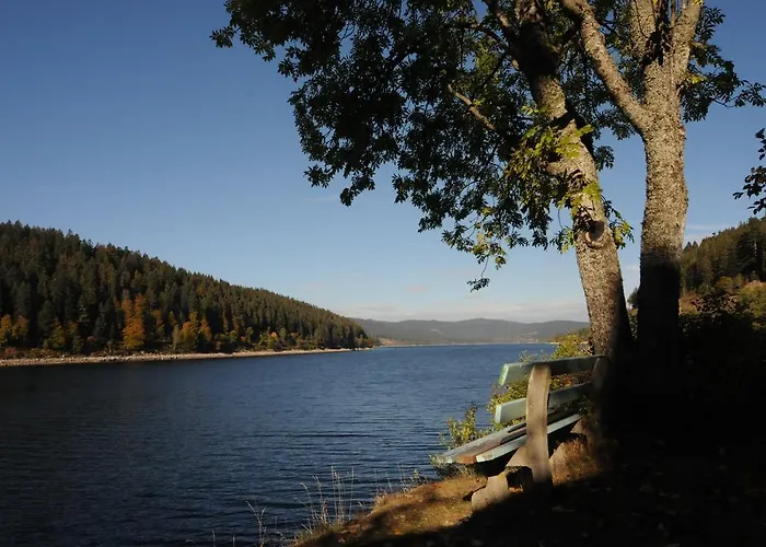 Seehotel Hubertus 4* Schluchsee