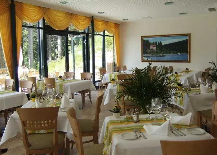 Seehotel Hubertus Hotel Schluchsee